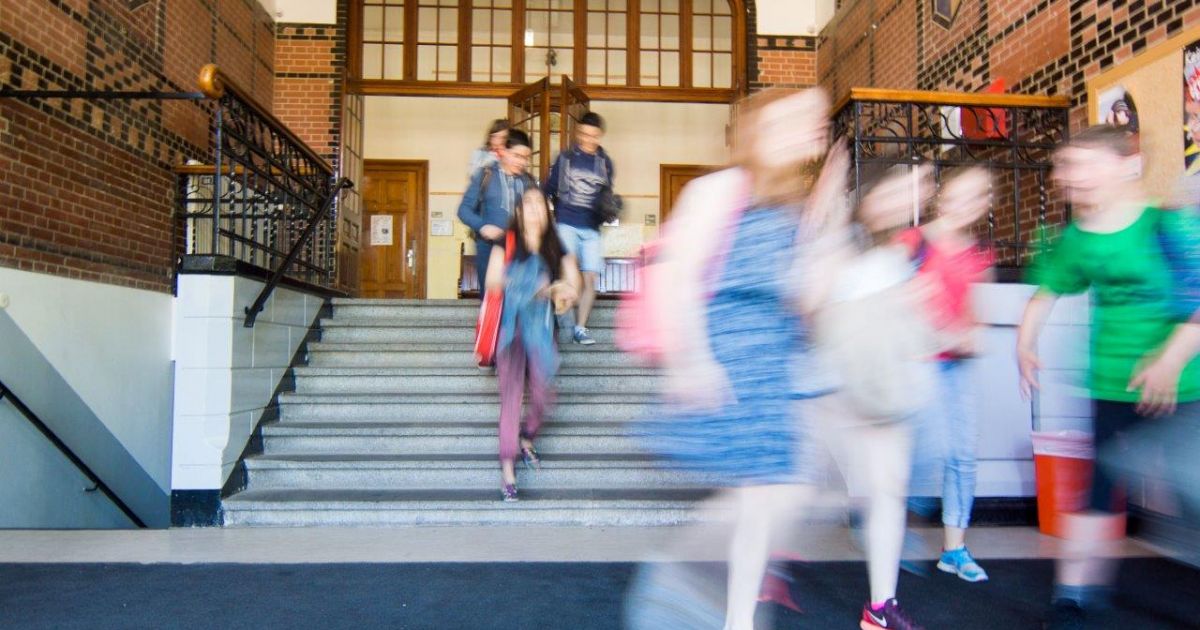 Immer Auf Der Hohe Goethe Schule Flensburg